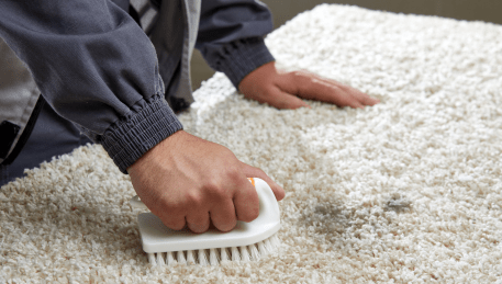 Professional Rug Cleaning Elsternwick